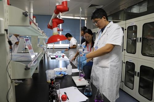 臨沂市舉辦2024年食品安全檢驗檢測技術技能競賽 助推生物基材料技術研發(fā)與高質量發(fā)展