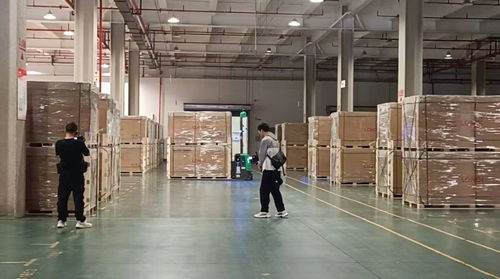 每18秒下線一個(gè)光伏組件 揭秘全球光伏行業(yè)首座燈塔工廠與碳訪生物基材料技術(shù)研發(fā)