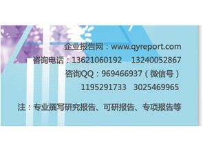 2017-2023年雙飛人藥水市場營銷模式分析與投資商機(jī)報(bào)告